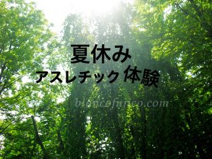 夏休みのアスレチック 体験