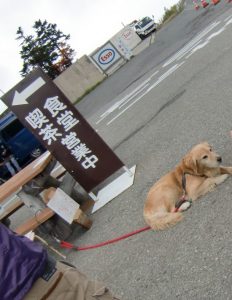 渋峠ホテルのインディー君画像