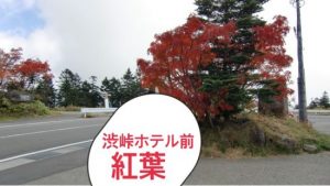 渋峠ホテル紅葉画像