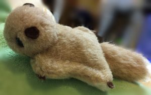 高尾山のムササビ画像
