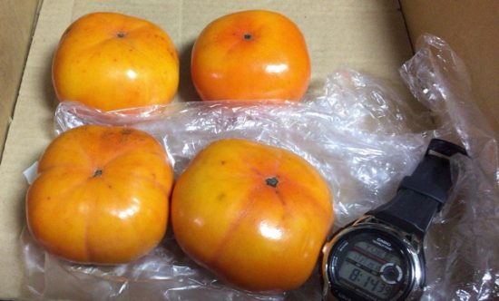 追熟前の柿と追熟後の柿画像