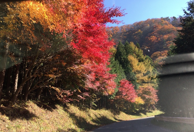 紅葉ライン 姫街道紅葉画像