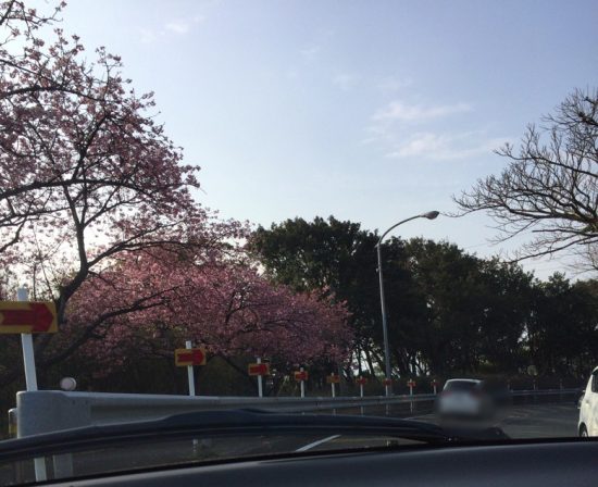 河津トンネル付近