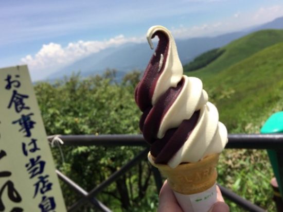 ビーナスライン富士見台ニッコウキスゲの丘ブルベリーソフトクリーム画像