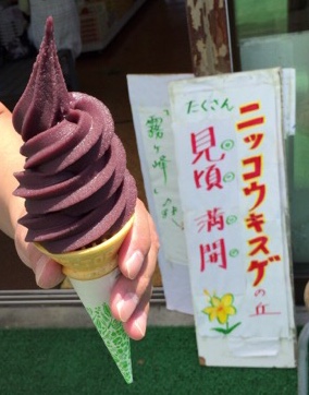 ビーナスライン富士見台ニッコウキスゲの丘のブルベリーソフト画像