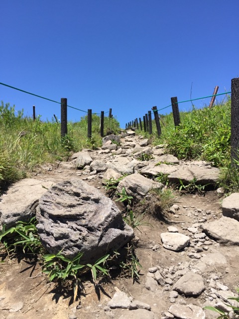車山高原蝶々深山までの登り道画像