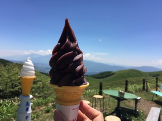 ニッコウキスゲの方 ブルーベリーソフトクリーム画像