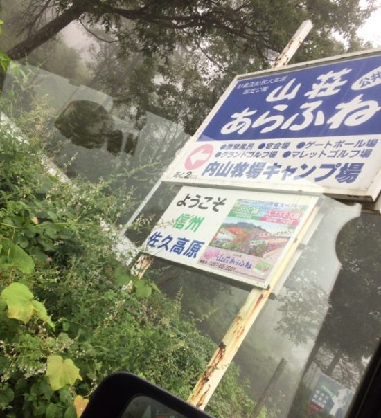 佐久コスモス 内山牧場 大コスモス園画像