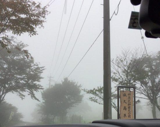 佐久コスモスまつり 内田牧場大コスモス園画像